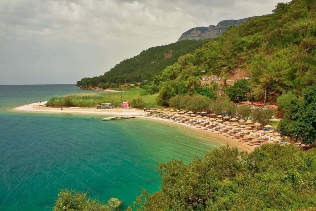 çınar