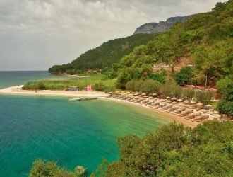 çınar